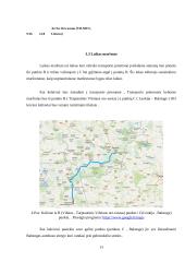 Keleivių vežimo organizavimas tarptautiniais maršrutais 13 puslapis