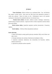 Keleivių vežimo organizavimas tarptautiniais maršrutais 4 puslapis