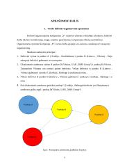 Keleivių vežimo organizavimas tarptautiniais maršrutais 5 puslapis