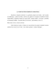 Keleivių vežimo organizavimas tarptautiniais maršrutais 8 puslapis