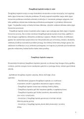 Biologinis (žmogiškasis) kapitalas 3 puslapis