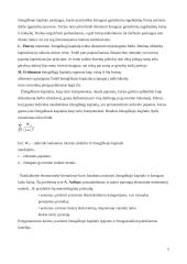 Biologinis (žmogiškasis) kapitalas 5 puslapis