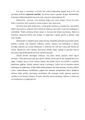 Bendravimo samprata ir reikšmė 4 puslapis