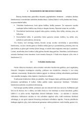 Bendravimo samprata ir reikšmė 5 puslapis