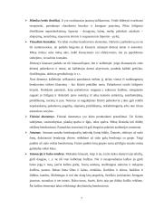 Bendravimo samprata ir reikšmė 7 puslapis