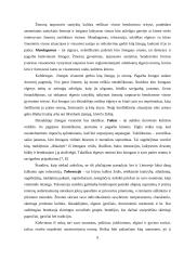 Bendravimo samprata ir reikšmė 9 puslapis