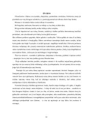 Filosofijos kilimas iš nuostabos 14 puslapis