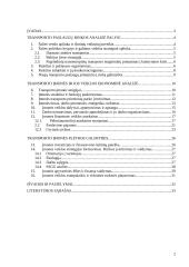 Lietuvos Geležinkeliai – keleivių vežimas verslo planas 2 puslapis