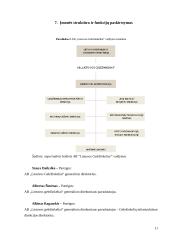Lietuvos Geležinkeliai – keleivių vežimas verslo planas 11 puslapis