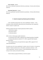 Lietuvos Geležinkeliai – keleivių vežimas verslo planas 12 puslapis