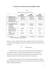 Lietuvos Geležinkeliai – keleivių vežimas verslo planas 13 puslapis