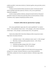 Lietuvos Geležinkeliai – keleivių vežimas verslo planas 15 puslapis