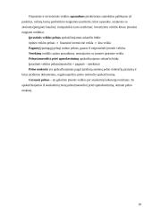 Lietuvos Geležinkeliai – keleivių vežimas verslo planas 18 puslapis