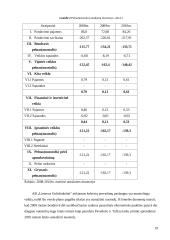 Lietuvos Geležinkeliai – keleivių vežimas verslo planas 19 puslapis