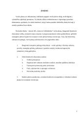 Lietuvos Geležinkeliai – keleivių vežimas verslo planas 3 puslapis