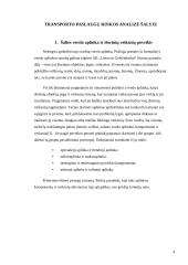 Lietuvos Geležinkeliai – keleivių vežimas verslo planas 4 puslapis