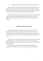 Lietuvos Geležinkeliai – keleivių vežimas verslo planas 6 puslapis