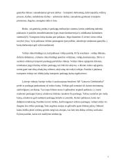 Lietuvos Geležinkeliai – keleivių vežimas verslo planas 7 puslapis