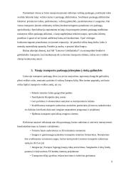 Lietuvos Geležinkeliai – keleivių vežimas verslo planas 9 puslapis