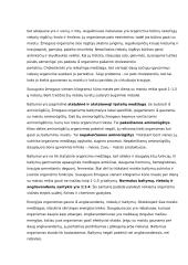 Tinkama žmogaus mityba 2 puslapis