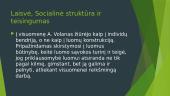 Andriaus Volano idėjų originalumas: laisvė, socialinė struktūra ir socialinis teisingumas 13 puslapis