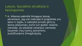 Andriaus Volano idėjų originalumas: laisvė, socialinė struktūra ir socialinis teisingumas 14 puslapis