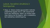 Andriaus Volano idėjų originalumas: laisvė, socialinė struktūra ir socialinis teisingumas 15 puslapis