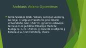 Andriaus Volano idėjų originalumas: laisvė, socialinė struktūra ir socialinis teisingumas 4 puslapis