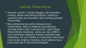 Andriaus Volano idėjų originalumas: laisvė, socialinė struktūra ir socialinis teisingumas 6 puslapis