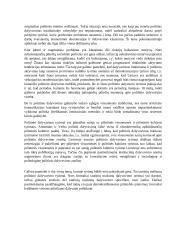 Politinis dalyvavimas ir demokratija 2 puslapis