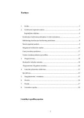 Keleivių vežimas visų rūšių transportu 2 puslapis