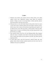 Slauga interviu 11 puslapis