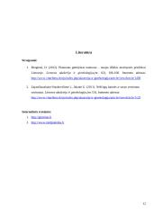 Slauga interviu 12 puslapis