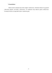 Sotieji angliavandeniliai 11 puslapis