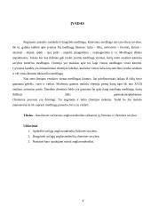 Sotieji angliavandeniliai 4 puslapis