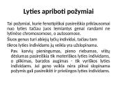 Lyties genetika 9 puslapis