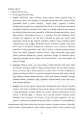 Tarpkultūriniai bendravimo skirtumai 15 puslapis