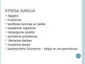 Stresas ir jo įveikimas skaidrės 3 puslapis