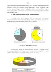 UAB ,,Panevėžio statybos trestas'' vertikalioji balanso analizė 11 puslapis