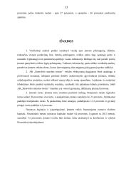 UAB ,,Panevėžio statybos trestas'' vertikalioji balanso analizė 13 puslapis