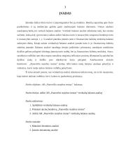 UAB ,,Panevėžio statybos trestas'' vertikalioji balanso analizė 3 puslapis