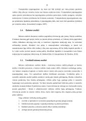 UAB ,,Panevėžio statybos trestas'' vertikalioji balanso analizė 6 puslapis