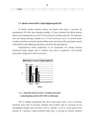 UAB ,,Panevėžio statybos trestas'' vertikalioji balanso analizė 10 puslapis