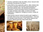 Lietuvių papročiai, skirtumai 12 puslapis