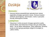 Lietuvių papročiai, skirtumai 14 puslapis