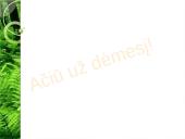 Lietuvių papročiai, skirtumai 18 puslapis