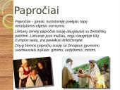 Lietuvių papročiai, skirtumai 3 puslapis