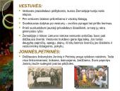 Lietuvių papročiai, skirtumai 5 puslapis