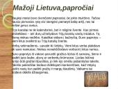 Lietuvių papročiai, skirtumai 7 puslapis