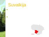 Lietuvių papročiai, skirtumai 9 puslapis